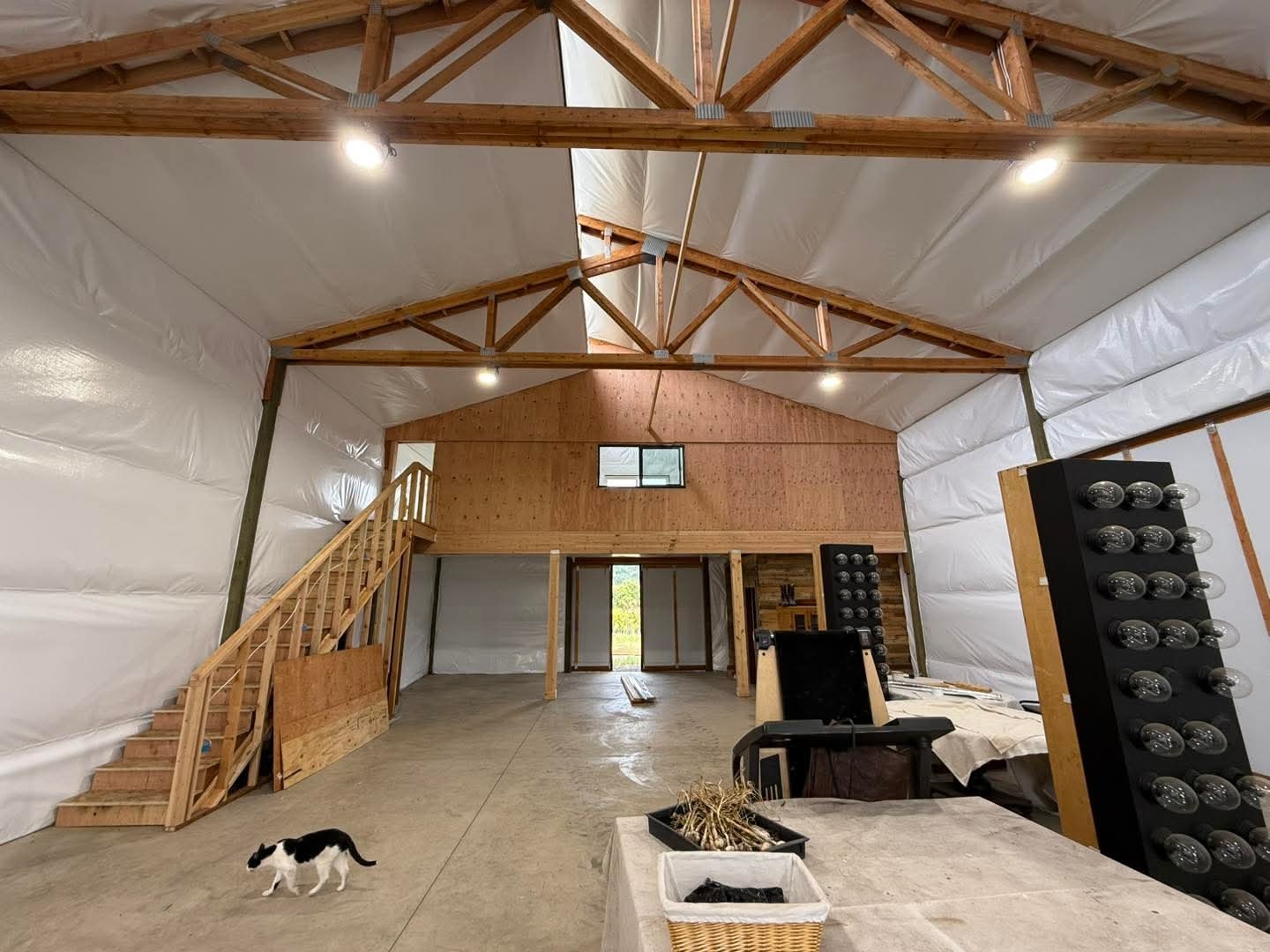 Cathedral Ceiling Construction